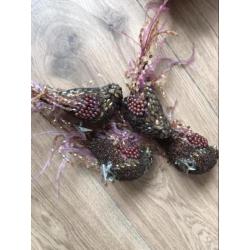 Kerstspullen koper/brons kleur