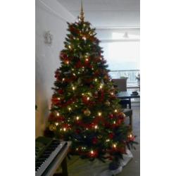 230 cm - Triumph Tree - Forest Frosted Pine - Kunstkerstboom