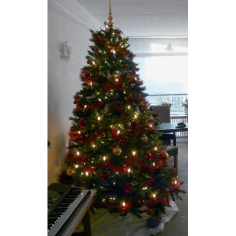 230 cm - Triumph Tree - Forest Frosted Pine - Kunstkerstboom