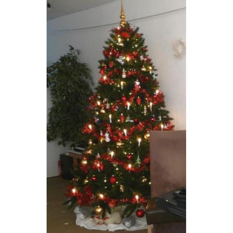 230 cm - Triumph Tree - Forest Frosted Pine - Kunstkerstboom