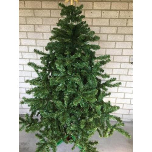 Kerstboom.