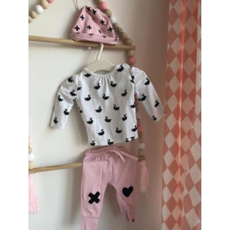Z8 newborn 50-56