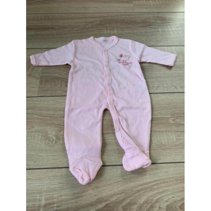 Boxpakje vogel roze