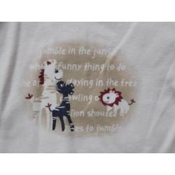 (C63) SALE! Longsleeve met leeuw, giraf en zebra