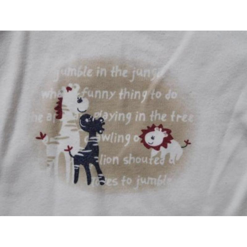 (C63) SALE! Longsleeve met leeuw, giraf en zebra