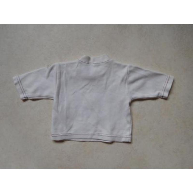 (C63) SALE! Longsleeve met leeuw, giraf en zebra