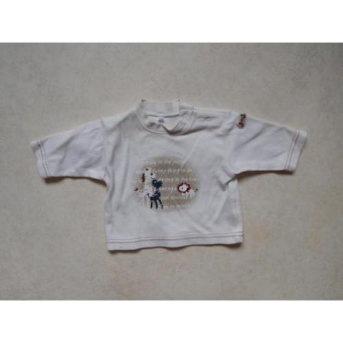 (C63) SALE! Longsleeve met leeuw, giraf en zebra