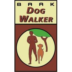 DogWalker wandelschoen "LINES" Styled by Grisport maat 45